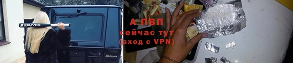 a pvp Аркадак