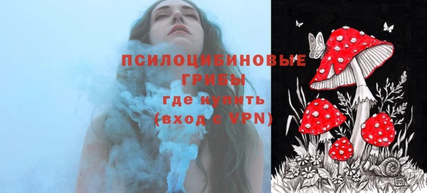 a pvp Аркадак