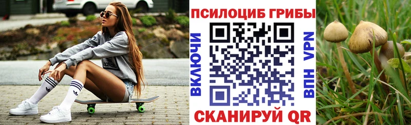 Псилоцибиновые грибы MAGIC MUSHROOMS  Дорогобуж 